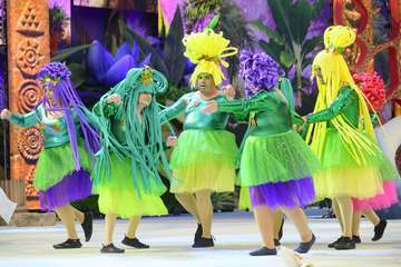 La XIII Gala de la Integración viste el escenario del Carnaval de La Tierra con el desfile de sus participantes/Lpcarnaval.